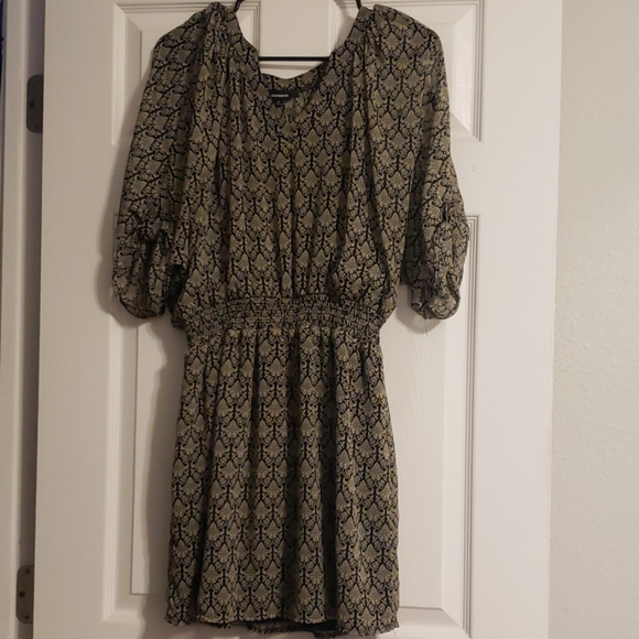 Express Dress - Picture 3 of 3